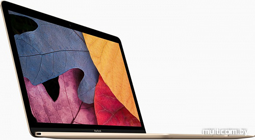 Ноутбук Apple MacBook 2017 MNYL2