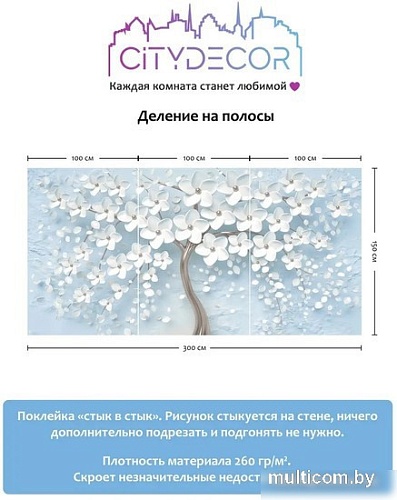 Фотообои Citydecor Абстракция 20 300x150