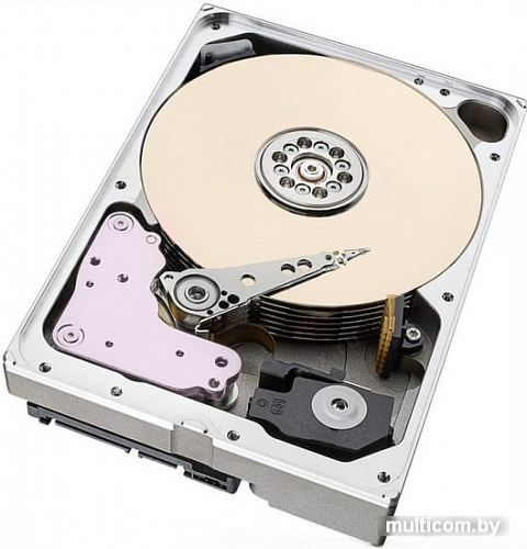 Жесткий диск Seagate SkyHawk AI 16TB ST16000VE000