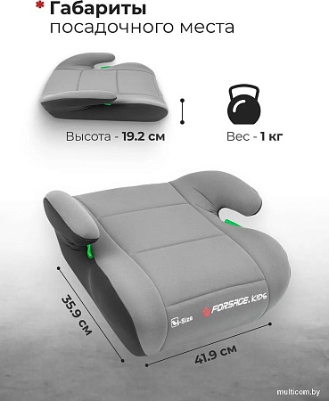 Детское сиденье Forsage Kids I-Size BS02C (grey)