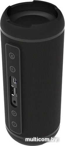 Беспроводная колонка Ritmix SP-320B