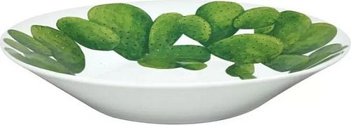 Тарелка глубокая Taitu Cactus 5-5-5