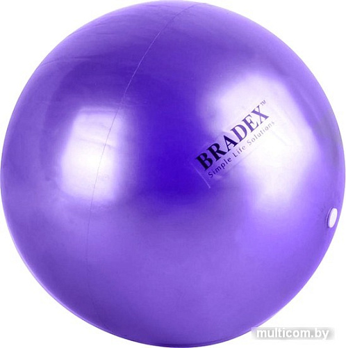 Мяч Bradex Фитбол-25 SF 0823 (фиолетовый)