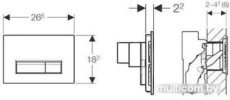 Geberit Sigma 40 DuoFresh 115.600.SI.1 (хром)