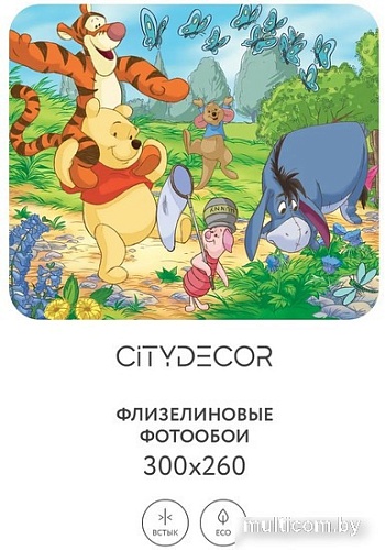 Фотообои Citydecor Детская 361 300x260