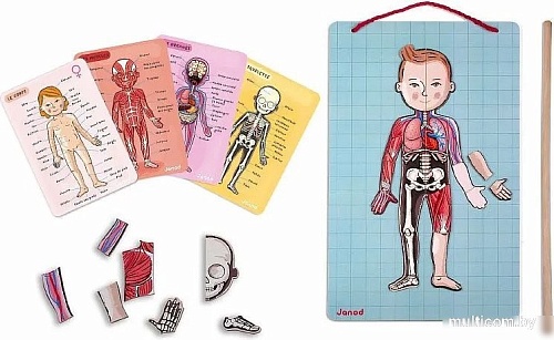 Развивающая игра Janod Части тела J05491