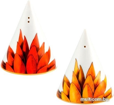 Перечница и солонка Vista Alegre Amazonia 21133611