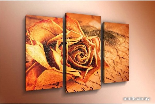 Модульная картина Arthata m-000480 120x80