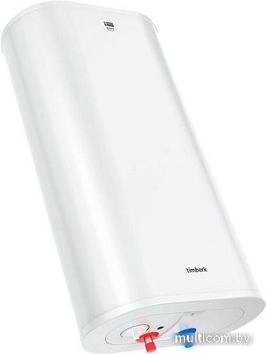 Накопительный электрический водонагреватель Timberk Dry T-WSS50-FS40D-V