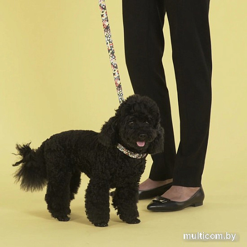 Ошейник United Pets Complete Me Collar (S, разноцветный рисунок)