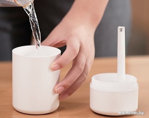 Sundays Home TBD0426282801C