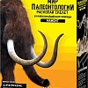 Набор для опытов 4M Раскопай скелет. Мамонт 00-03236