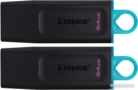 USB Flash Kingston Exodia 64GB (2шт)