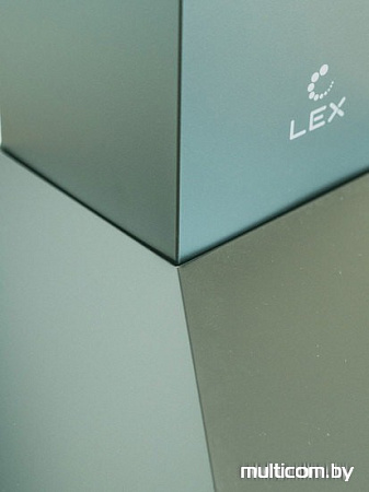 Кухонная вытяжка LEX Basic 600 (черный)
