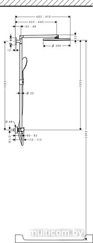 Душевая система Hansgrohe Raindance Select 300 Showerpipe (27114000)