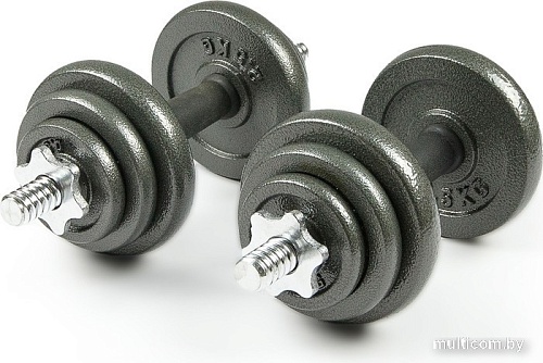 Набор гантелей с соединительным грифом Atlas Sport металлических в чемодане 20 кг (2x10 кг)