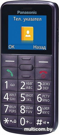 Мобильный телефон Panasonic KX-TU110RU (фиолетовый)