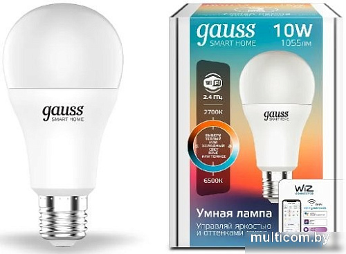 Светодиодная лампочка Gauss Smart Home 1080112