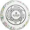 Чайник без свистка Agness Royal Garden 950-576