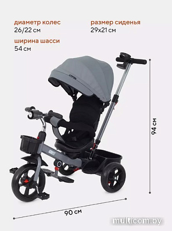 Детский велосипед Rant Basic Ghost RB250 (серый)