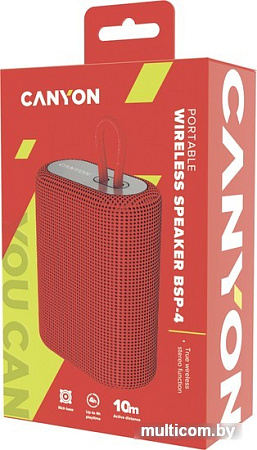 Беспроводная колонка Canyon CNE-CBTSP4R