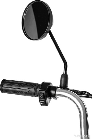 Электровелосипед MyWay Truck 1.0 350 20 (15, черный)