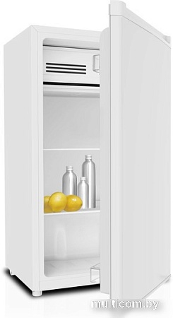 Однокамерный холодильник TECHNO DF1-11S