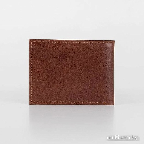 Портмоне Poshete 604-046JL-BRW (коричневый)