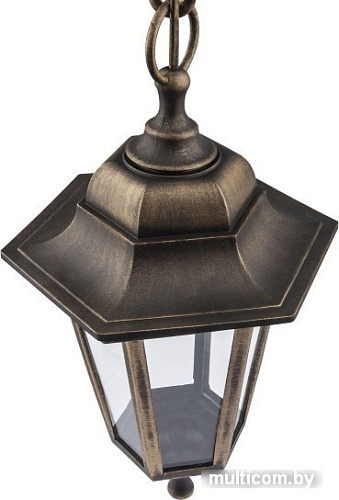 Уличный подвесной светильник ЭРА НСУ 06-60-001 Б0048109