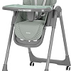 Высокий стульчик Baby Tilly Junior T-671 (темно-зеленый)