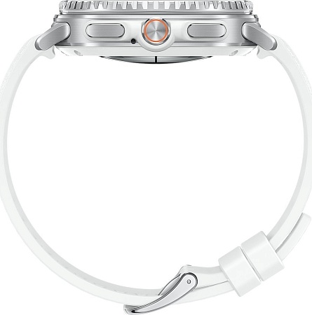 Умные часы Samsung Galaxy Watch8 Classic 46 мм LTE (серебристый)