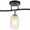 Подвесная люстра Citilux Фортуна CL156132