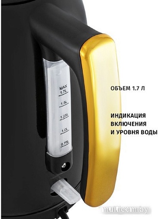 Электрический чайник Pioneer KE560M (черный)