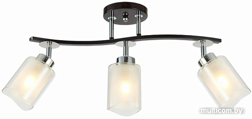 Подвесная люстра Citilux Фортуна CL156132