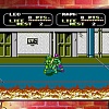 Teenage Mutant Ninja Turtles: The Cowabunga Collection для PlayStation 5