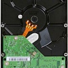 Жесткий диск WD AV-GP 500GB (WD5000AVCS)