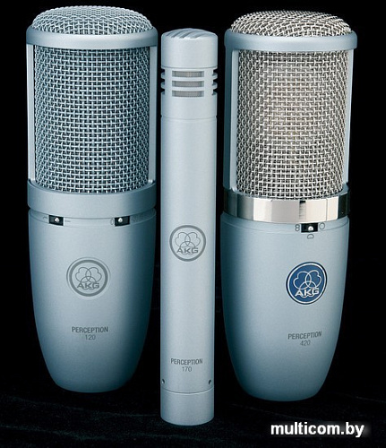 Микрофон AKG P120