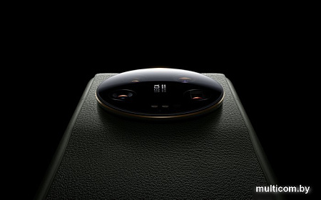 Смартфон Xiaomi 13 Ultra 12GB/256GB китайская версия (черный)