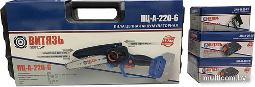 Аккумуляторная пила Витязь ПЦ-А-220-6 SET0000059 (с 2-мя АКБ, кейс)