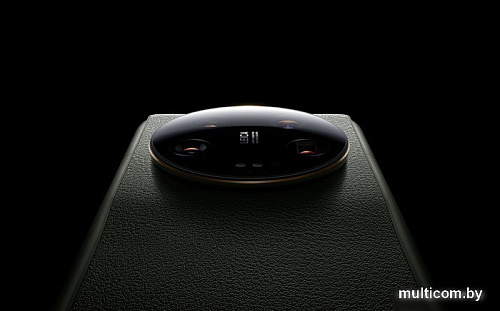 Смартфон Xiaomi 13 Ultra 12GB/256GB китайская версия (черный)