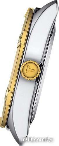 Наручные часы Tissot PR 100 Sport Chic T101.910.22.111.00