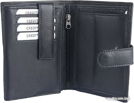 Кошелек Cedar Cavaldi N01L-AT (черный)