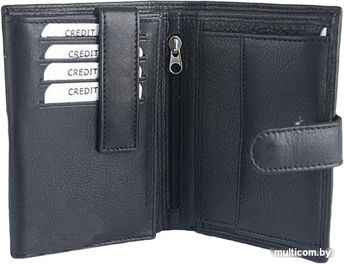 Кошелек Cedar Cavaldi N01L-AT (черный)