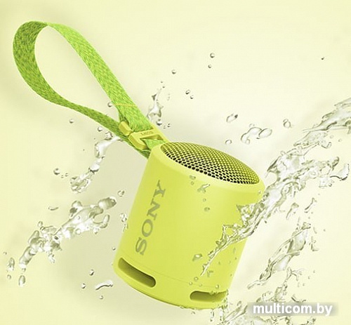 Беспроводная колонка Sony SRS-XB13 (лимонно-желтый)
