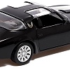 Легковой автомобиль Автоград Pontiac Firebird 9170912 (черный)