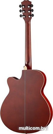 Акустическая гитара Foix FFG-2040C-NA