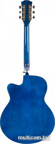 Акустическая гитара Belucci BC4040 1568