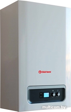 Отопительный котел Thermex Balius HM 25