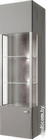 Шкаф распашной Anrex Diego 1V L (бонди бич/силк шитаке)