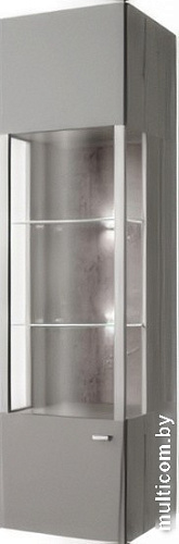 Шкаф распашной Anrex Diego 1V L (бонди бич/силк шитаке)